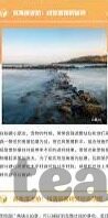 360足球竞彩比分-360足球竞彩比分，数据背后的博弈与智慧——从入门到进阶的竞彩指南