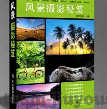 今天早晨足球比分-晨光中的绿茵烽火,今天早晨足球比分背后的激情与思考
