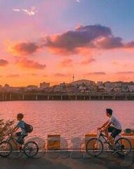 篮彩比分 足球-从篮彩到足彩,一场跨越球场的数字博弈与投资哲学