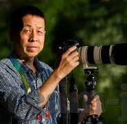 尼日尼亚足球比分-尼日利亚足球,比分背后的激情与荣耀——探索非洲雄鹰的赛场传奇