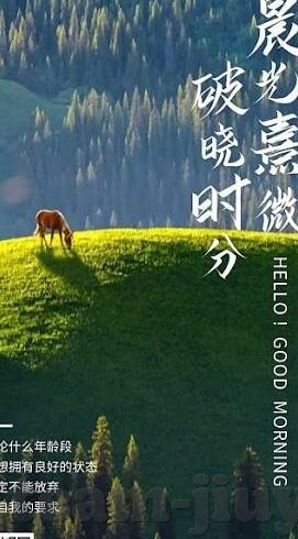 足彩足球比分视频-深度解析足彩足球比分视频,从观赛体验到投注策略的全方位指南
