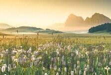 足球比分好中吗-足球比分预测,一场充满未知的博弈,真的好中吗?